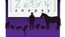 Zoopsy Association Vtrinaire de Zoopsychiatrie