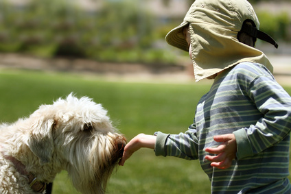 Chien et petite fille