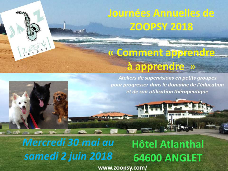 JAZ 2018 Anglet