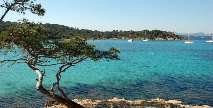 La plage d'argent à Porquerolles