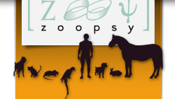 Association Vétérinaire de Zoopsychiatrie