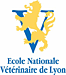 Ecole Nationale V&eacute;t&eacute;rinaire de Lyon